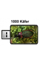 1000 Käfer